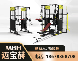 海北多功能综合训练器