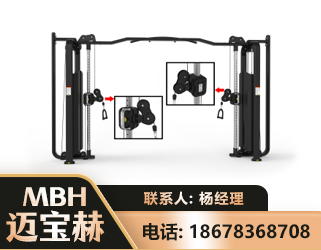 海北大飞鸟训练器