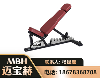 海北可调哑铃椅